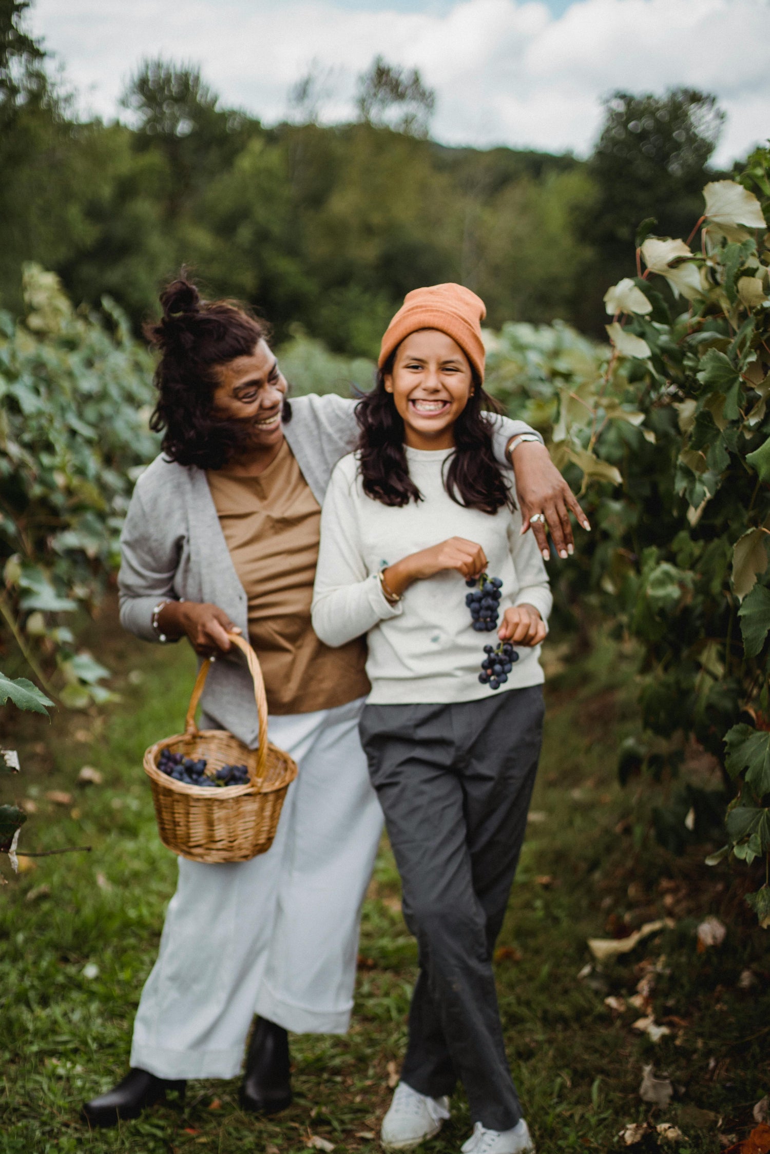 twee lachende dames druiven aan het plukken