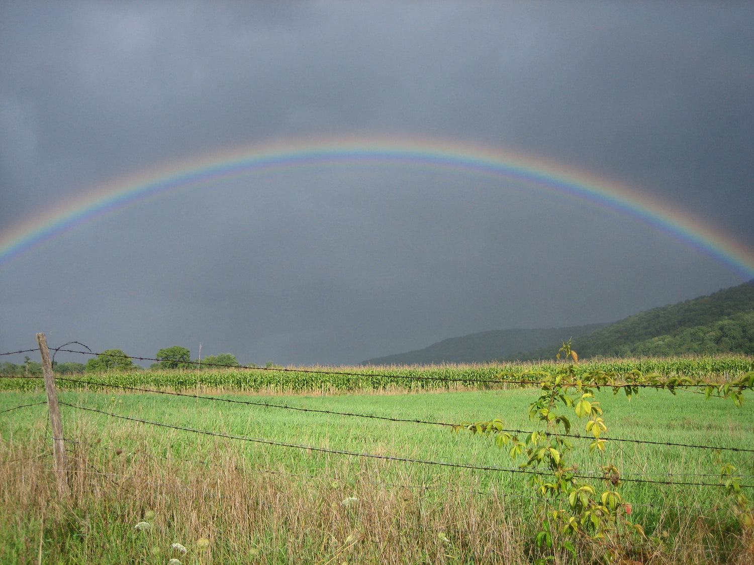 regenboog over veld met donkere lucht